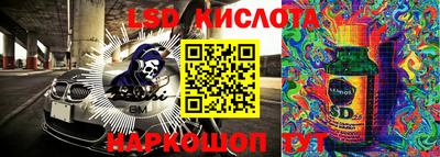 крисы Гай