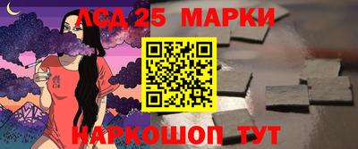 крисы Гай