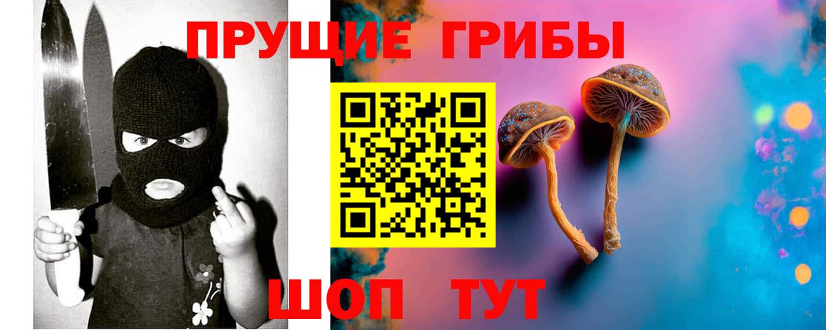 хочу наркоту  Псилоцибиновые грибы прущие грибы  Псилоцибиновые грибы мухоморы  Вход с VPN  Бутурлиновка 